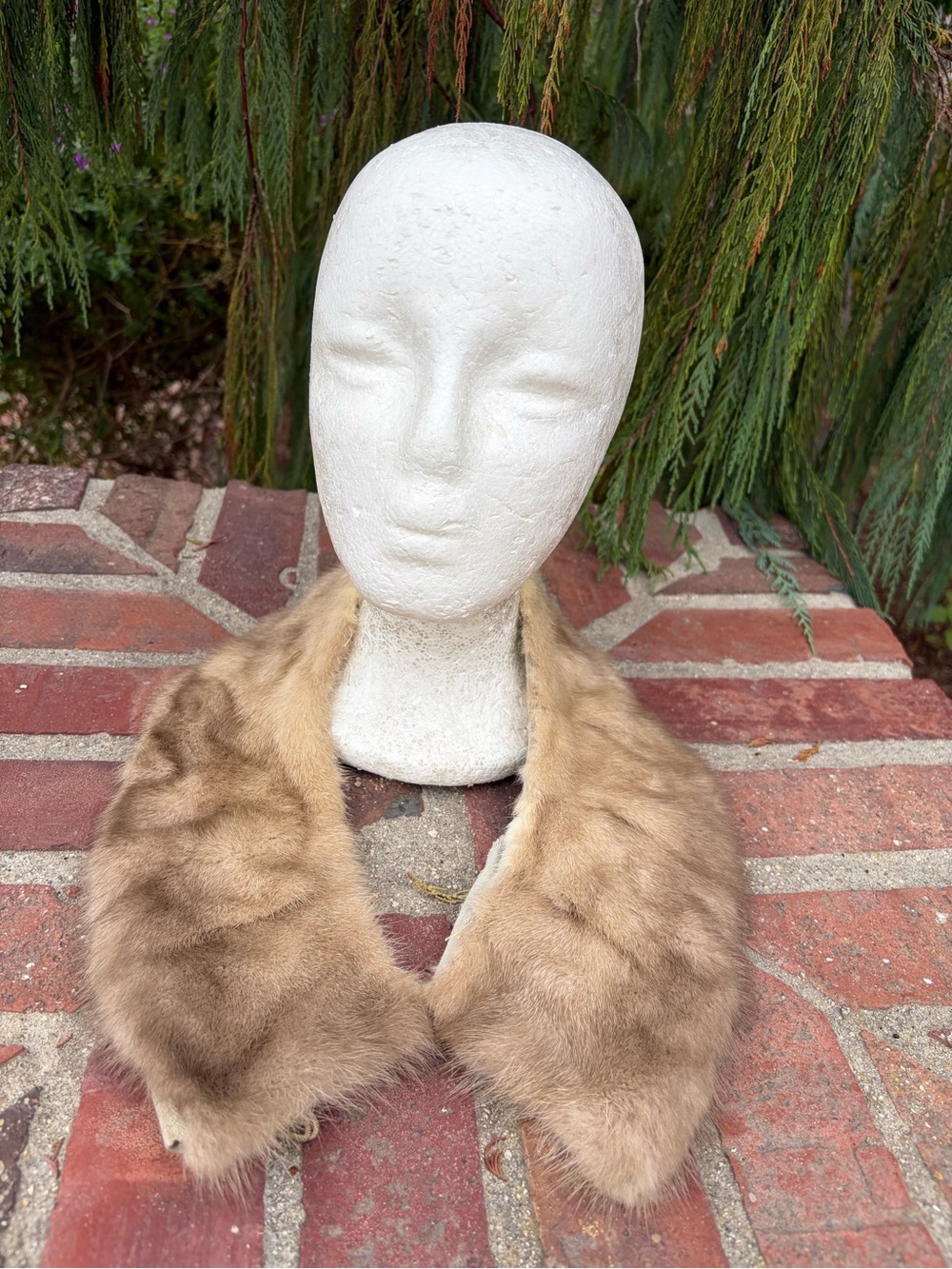 Elegant Mink Fur Collar Jazz Up A Coat For A Night Out